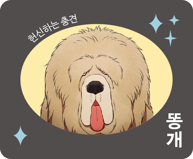 똥개 캐릭터